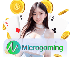 สัมผัสประสบการณ์ใหม่กับ สล็อตหมีดำ จาก Spade Gaming