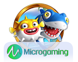 สูตรเด็ดเล่น สล็อตหน้าหมี เพื่อกำไรสูงสุด